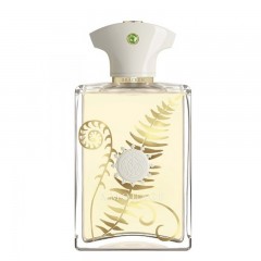 Amouage Bracken - Eau De Parfum 100ML